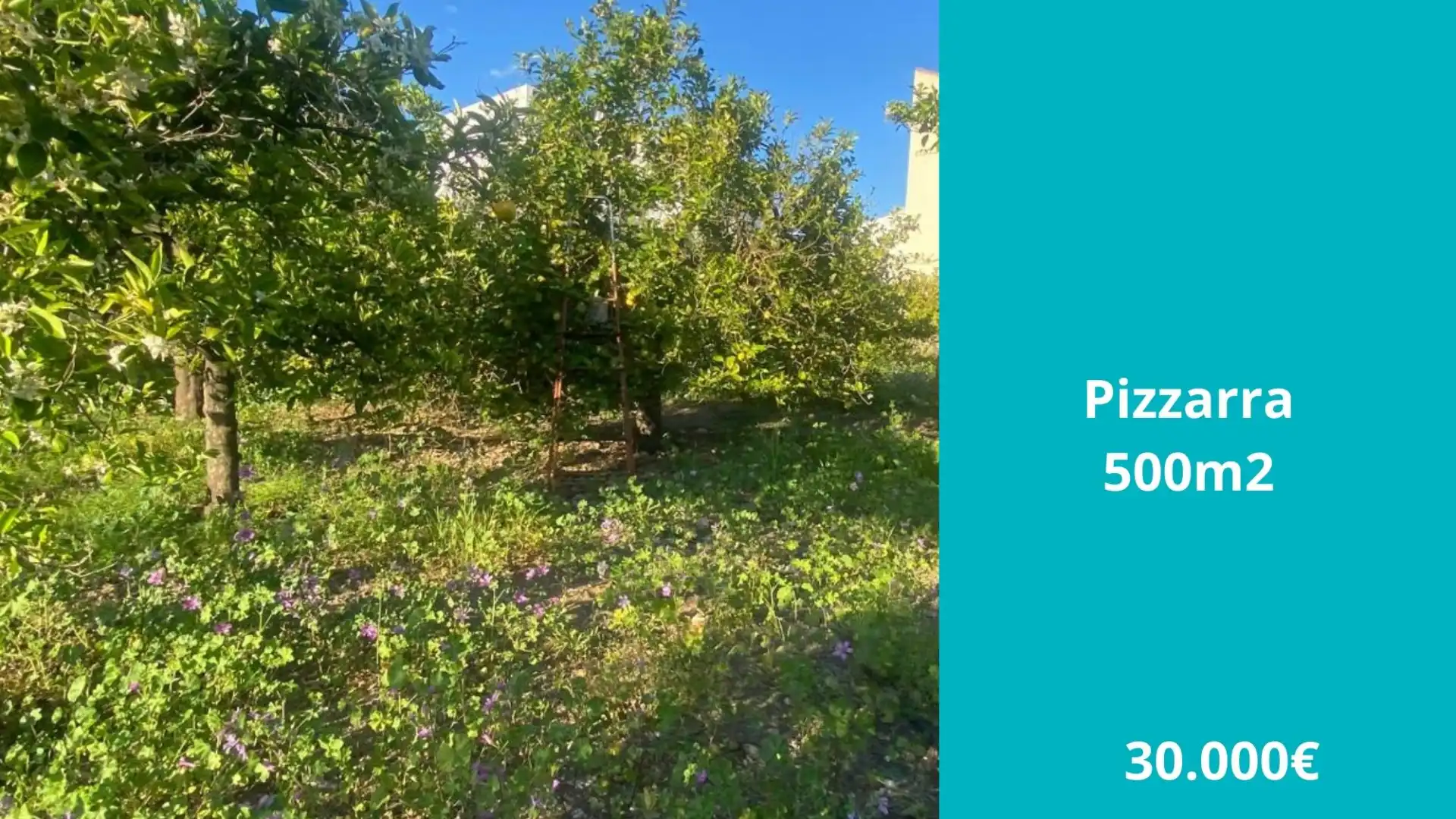 Land for sale in Pizarra