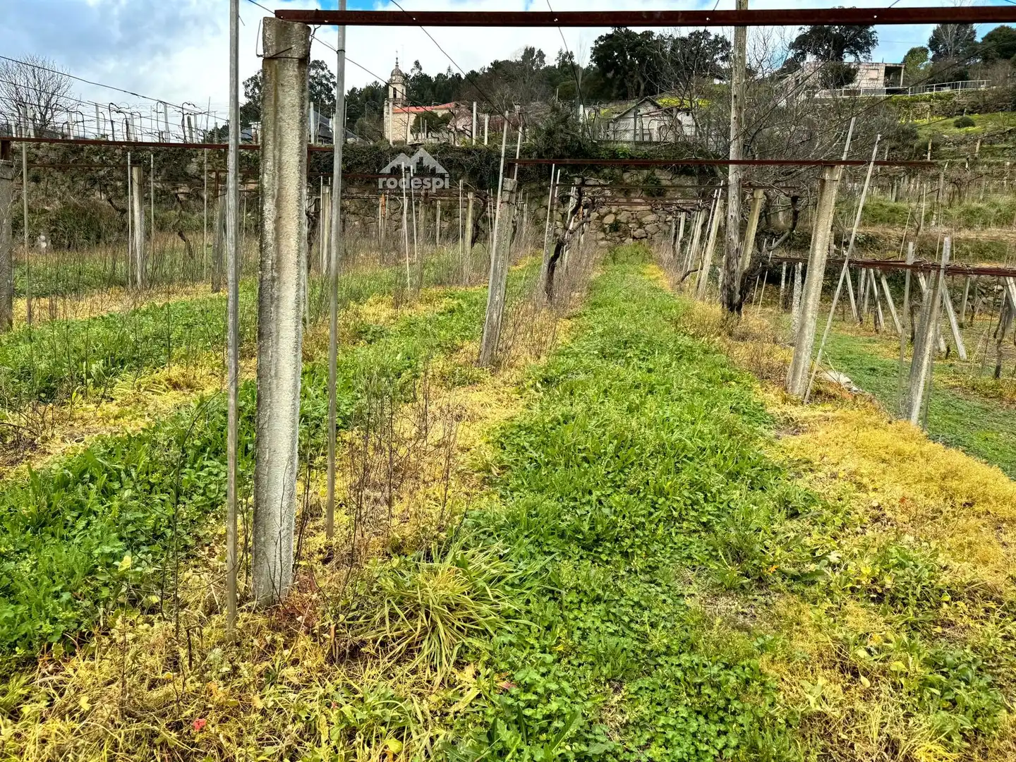 Rural land for sale in Arbo, imagen 29