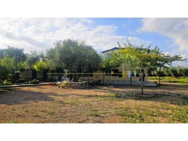 Finca rústica en Venta en Ulldecona