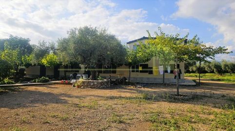 Finca exclusiva con dos casas y 30.000 m de terreno en Ulldecona  Tarragona