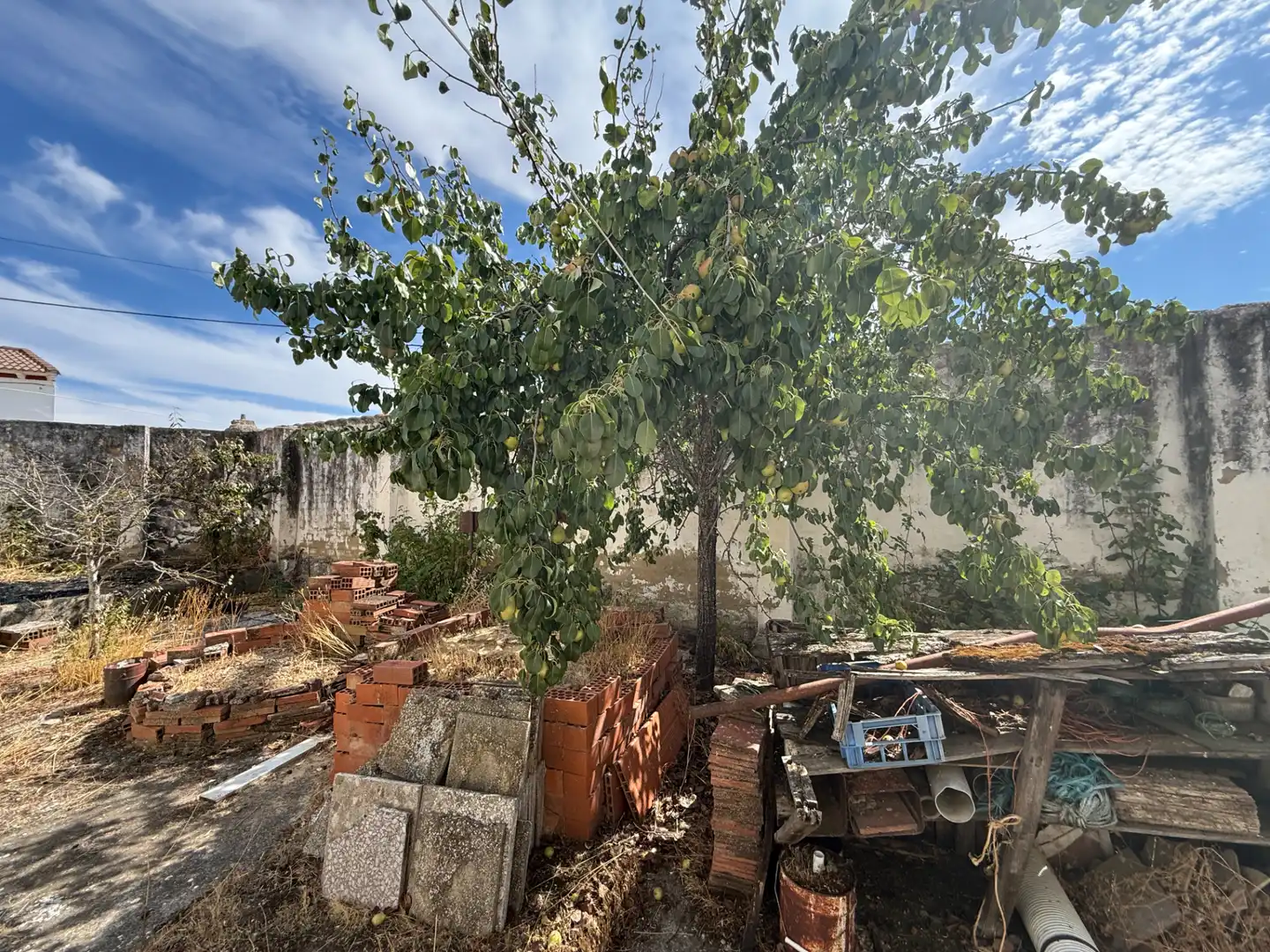 Casa o xalet en venda en Cervatos de la Cueza amb Traster i Moblat