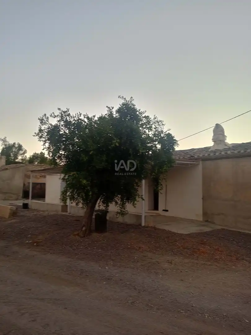 Exterior view of Country homes for sale in Lorca