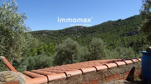 Finca rústica con caseta de 66 m2 y 18302 m² de terreno. Hay muy buen acceso hasta la finca a unos 7 minutos de Paüls y 7 minutos , imatge 5