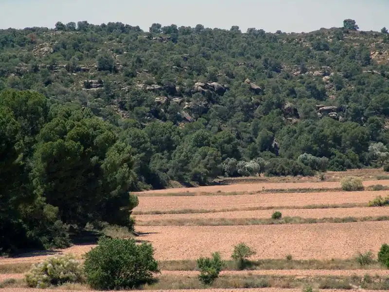 Finca rústica en venta en Alcañiz