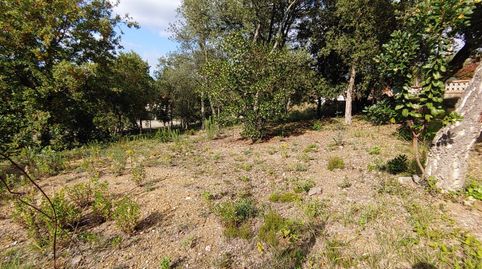 Solar en venta en Bescano., immagine 5