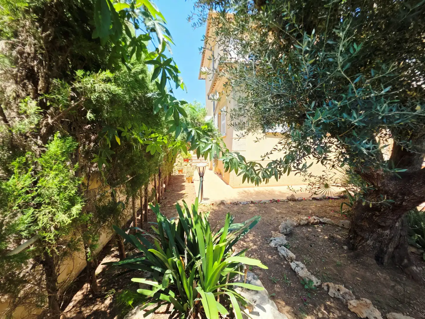 Jardín de Casa o chalet en venta en  Palma de Mallorca con Aire acondicionado, Calefacción y Jardín privado