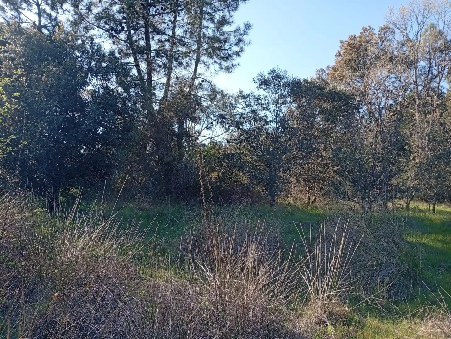 Terreni e lotti in vendita a Villanueva de la Vera, imagen 44