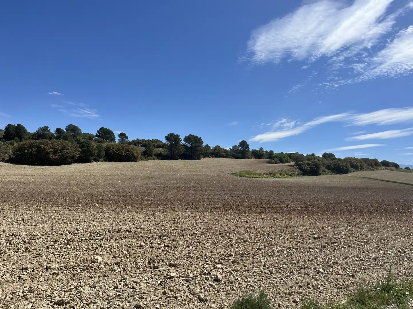 Rustikales Grundstück zum Verkauf in Avenida de Andalucía, imagen 8
