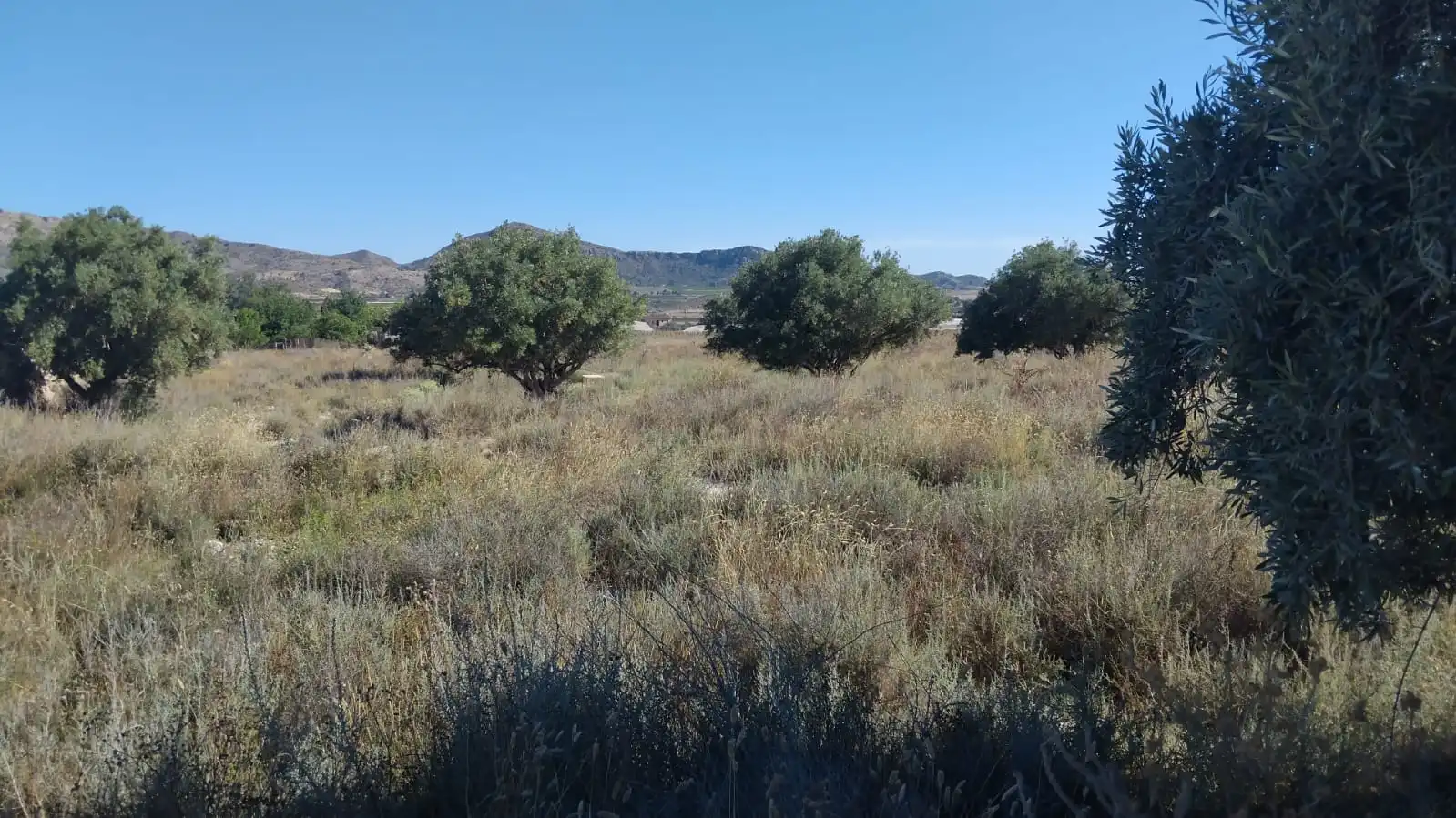 Terreny rústic en venda a Partida Sol del Camp 144, imagen 14