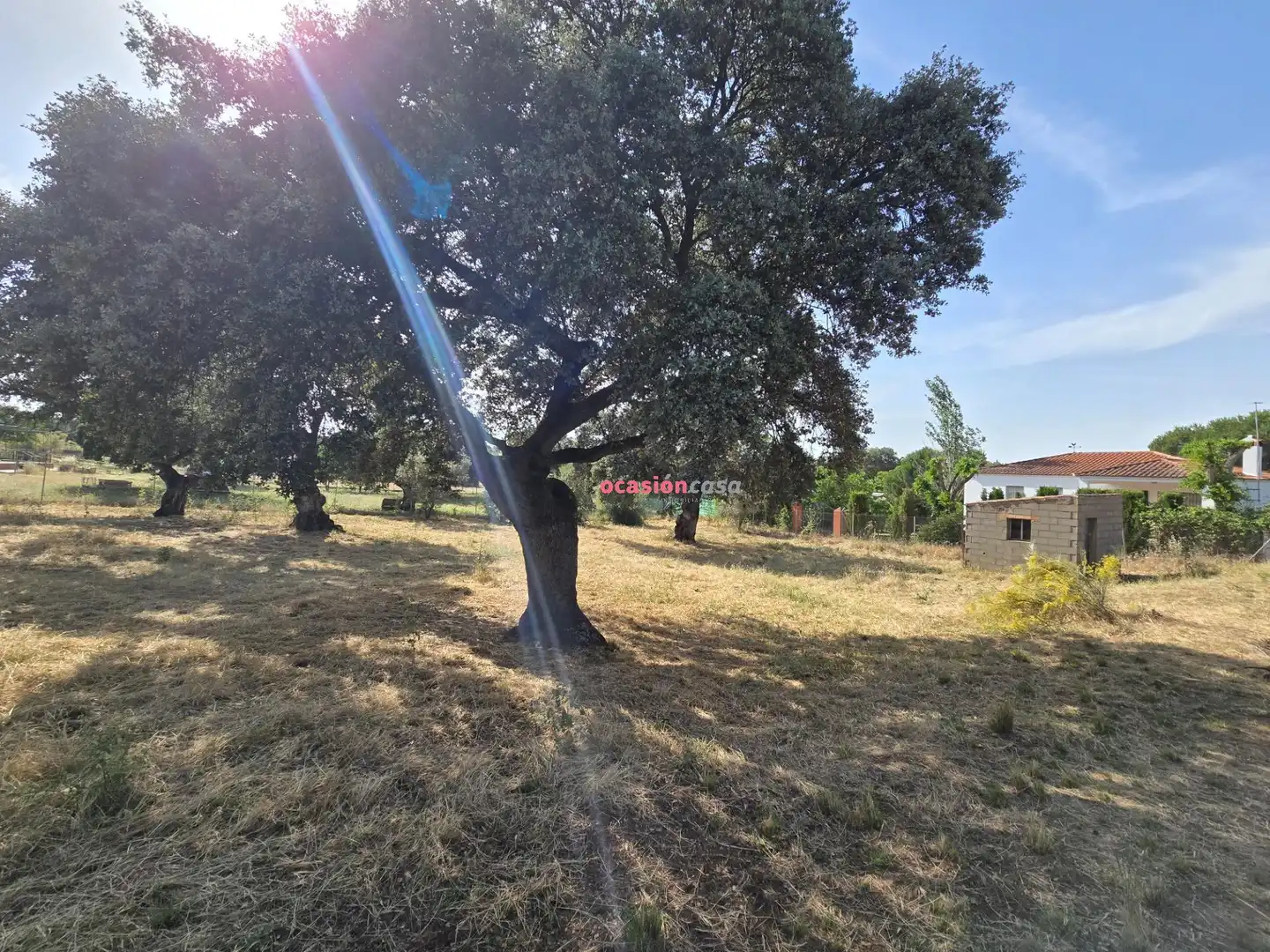Residencial en venta en Añora