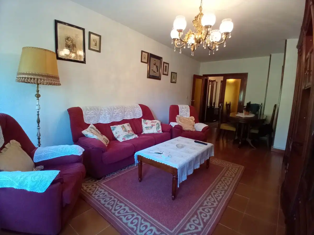 Living room of Flat for sale in Valladolid  with Heating, Parquet flooring and Terrace