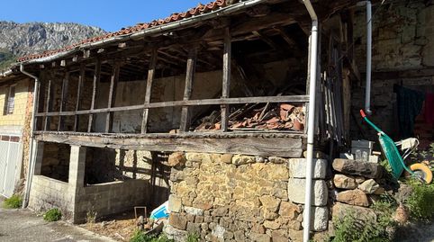 Foto 3 de Finca rústica en venda a Municipio Caleao, Caso, Asturias