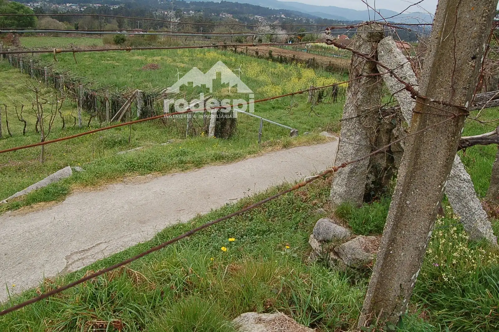 Terrain rustique à vendre à As Neves, imagen 3
