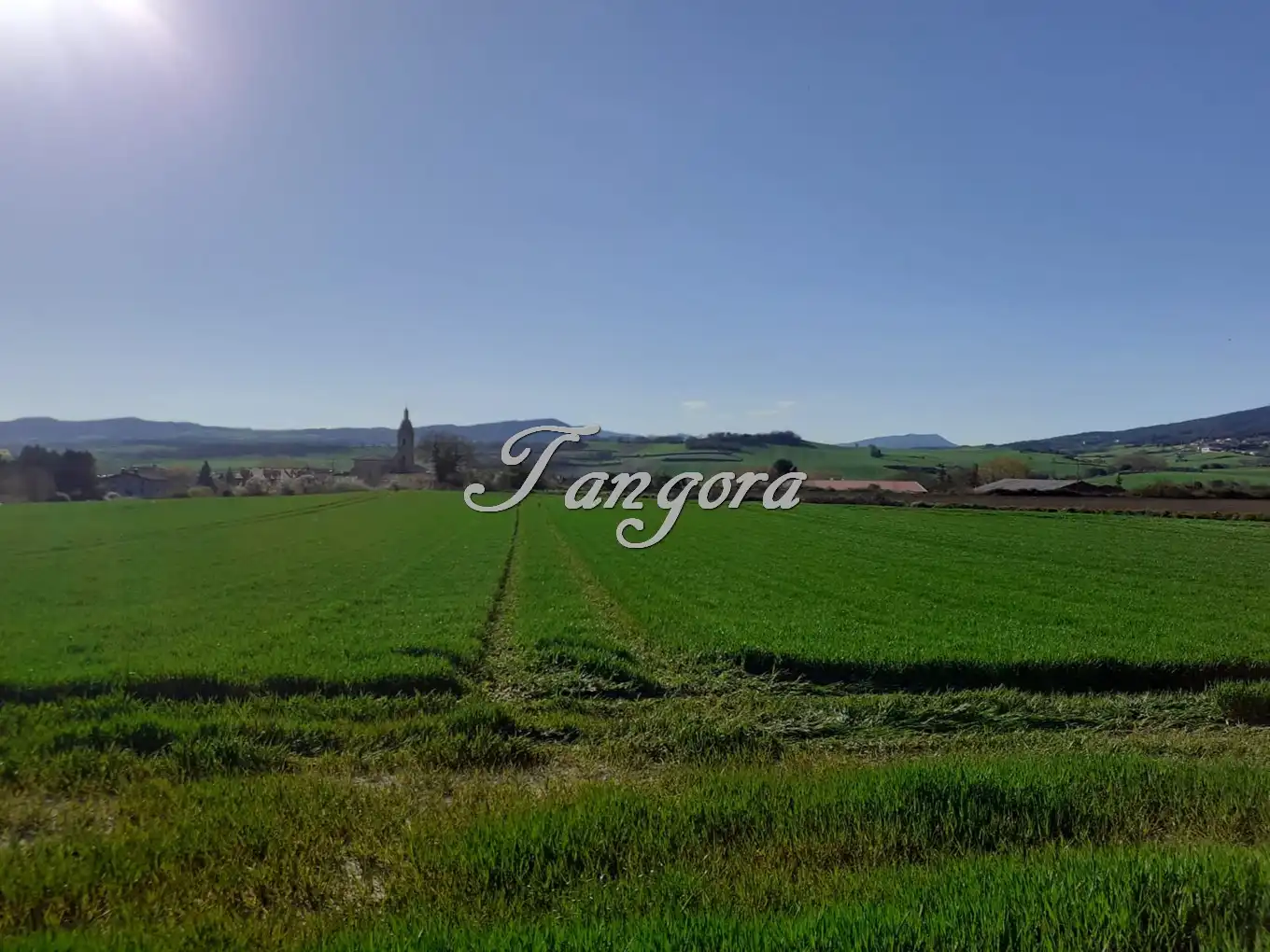 Industrial land for sale in La Puebla de Arganzón 