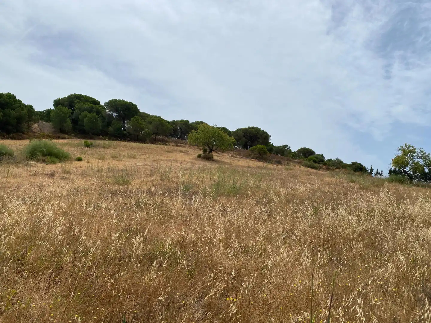 Terreni e lotti in vendita a Vía POLIGONO 15, PARCELA 83, VALDECERRO, imagen 7