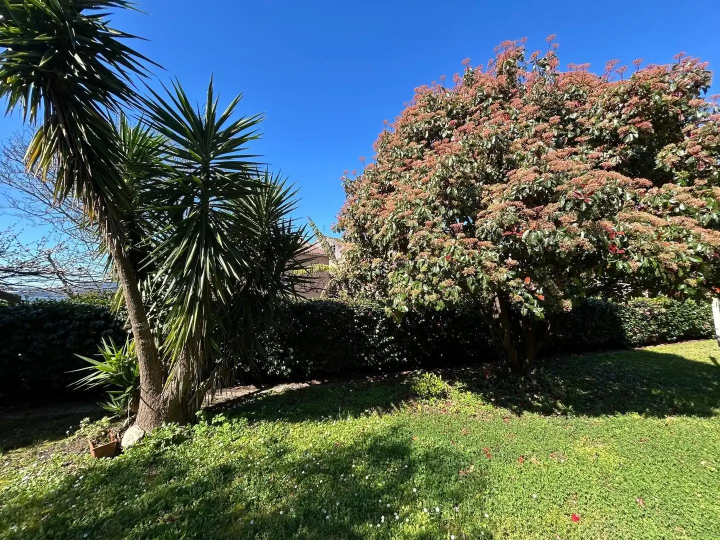 Jardí de Casa o xalet en venda en Boiro amb Calefacció, Terrassa i Traster