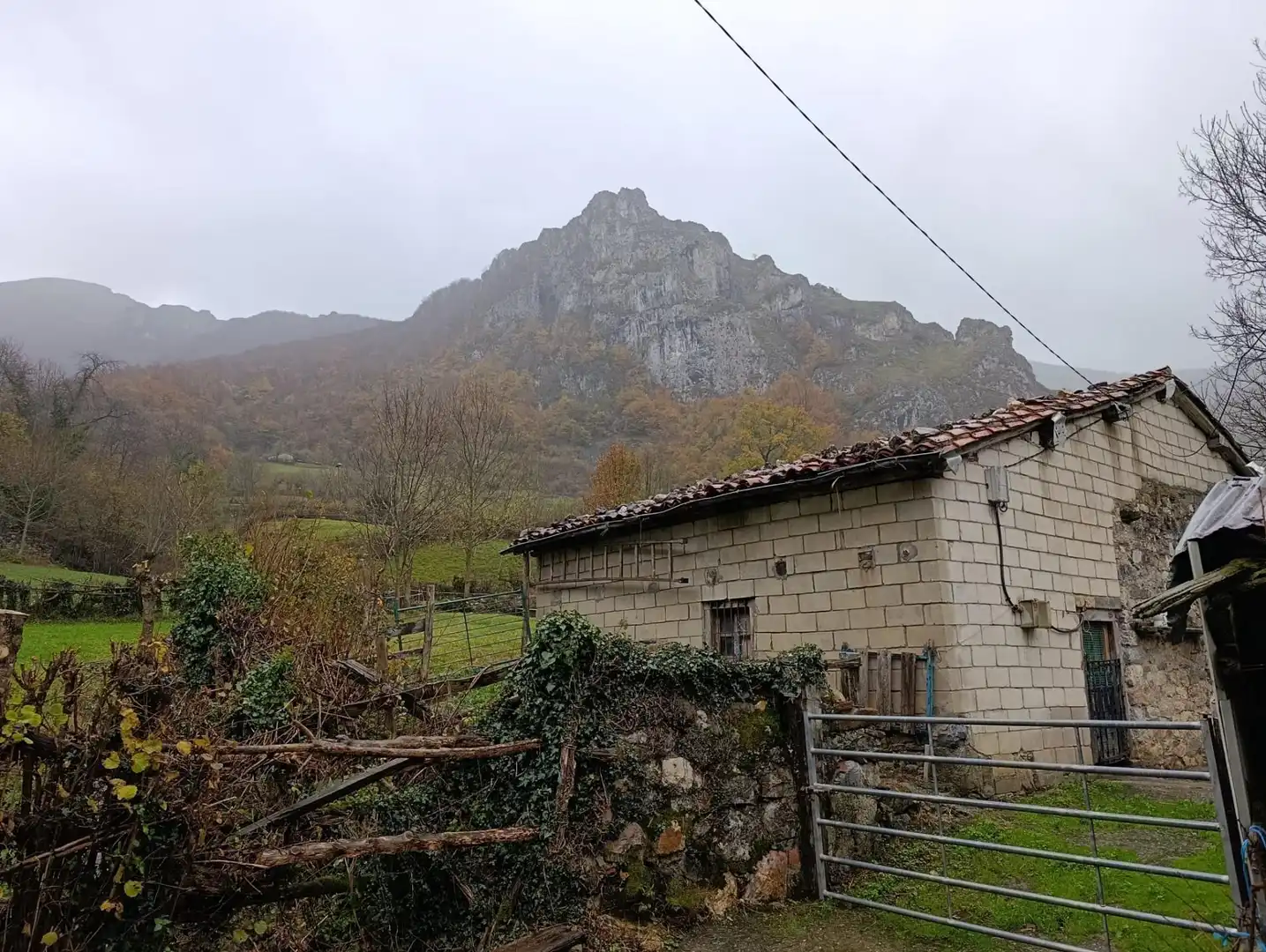 Exterior view of Land for sale in Aller