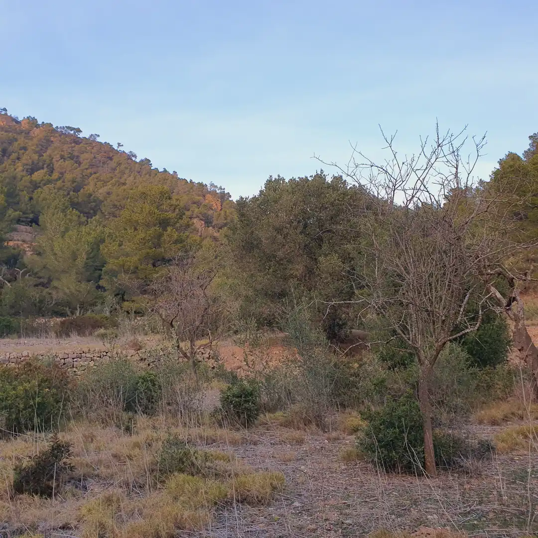 Rustikales Grundstück zum Verkauf in El Pinell de Brai, imagen 27