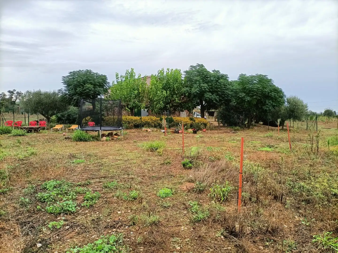 Casa o chalet en venta en Albons