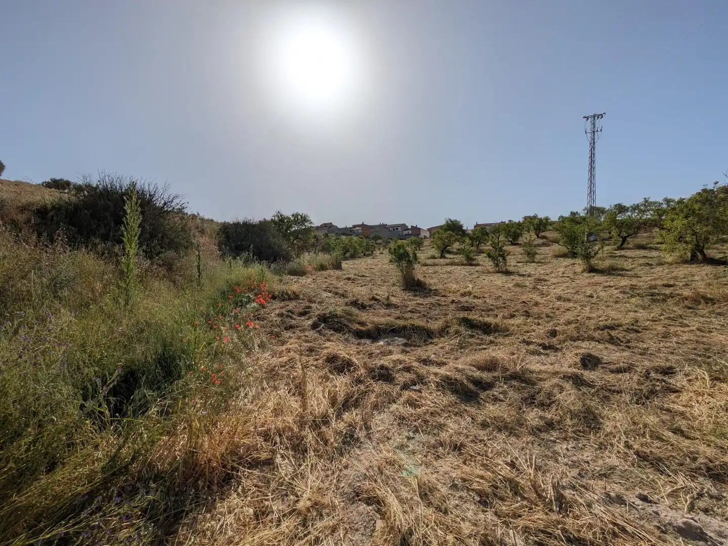 Residential land for sale in EXTRARRADIO, imagen 12
