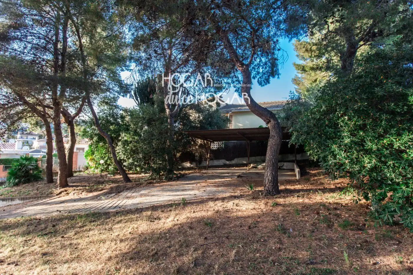Terreno rustico in vendita a Mèxic, imagen 7