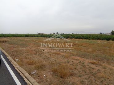 Terreno rustico in vendita a Algemesí