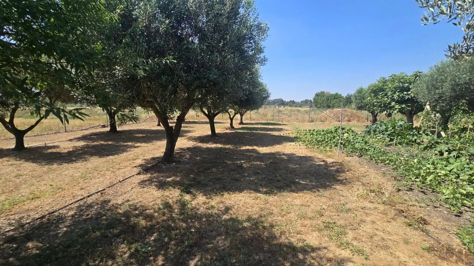 Casa con piscina en venta en Muga - Gran Reserva - Badia, imagen 27