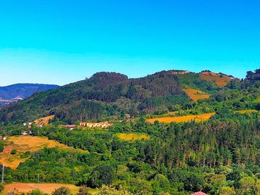 Terrenos y solares en venta en Candamo