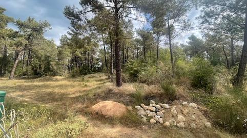 Foto 2 de Terreno en venta en Càmping Caravaning Internacional Costa Brava, 184, Mas Mora - Sant Daniel, Barcelona