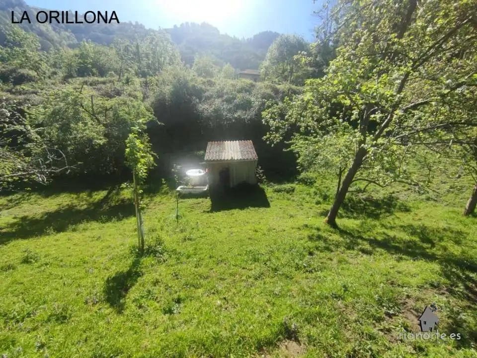 Terreno rustico in vendita a San Martín del Rey Aurelio, imagen 11