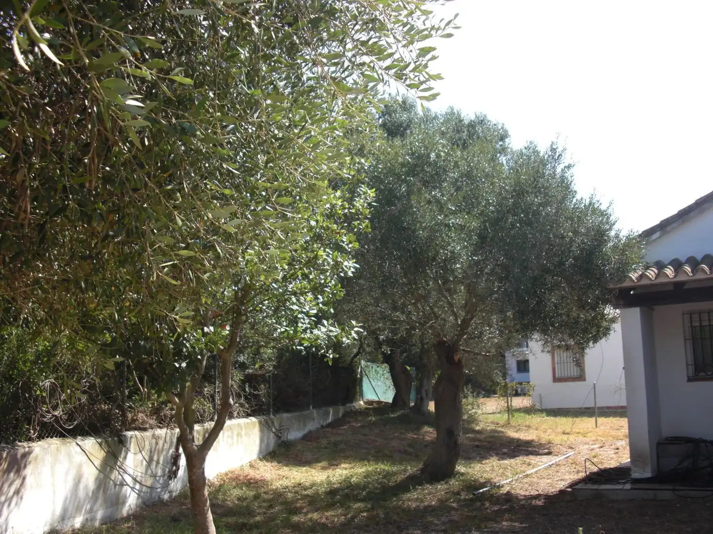 Jardí de Casa o xalet en venda en Chiclana de la Frontera amb Terrassa