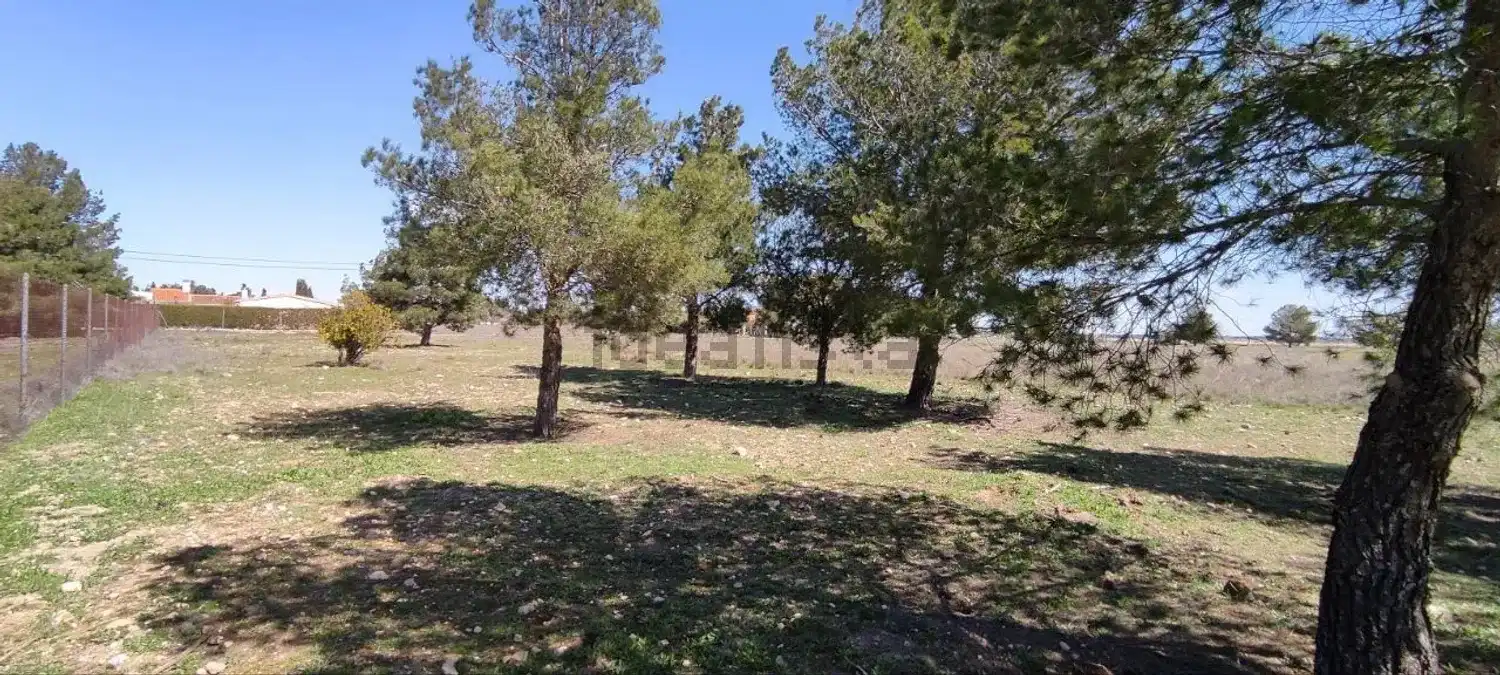 Terreno rustico in vendita a Pedanías - Extrarradio, imagen 10