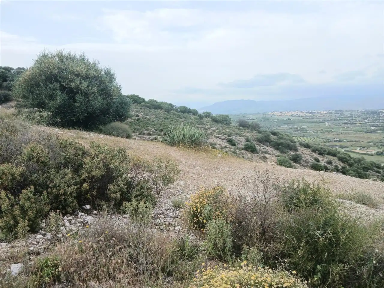 Terreni e lotti in vendita a Sierra Gorda, imagen 14