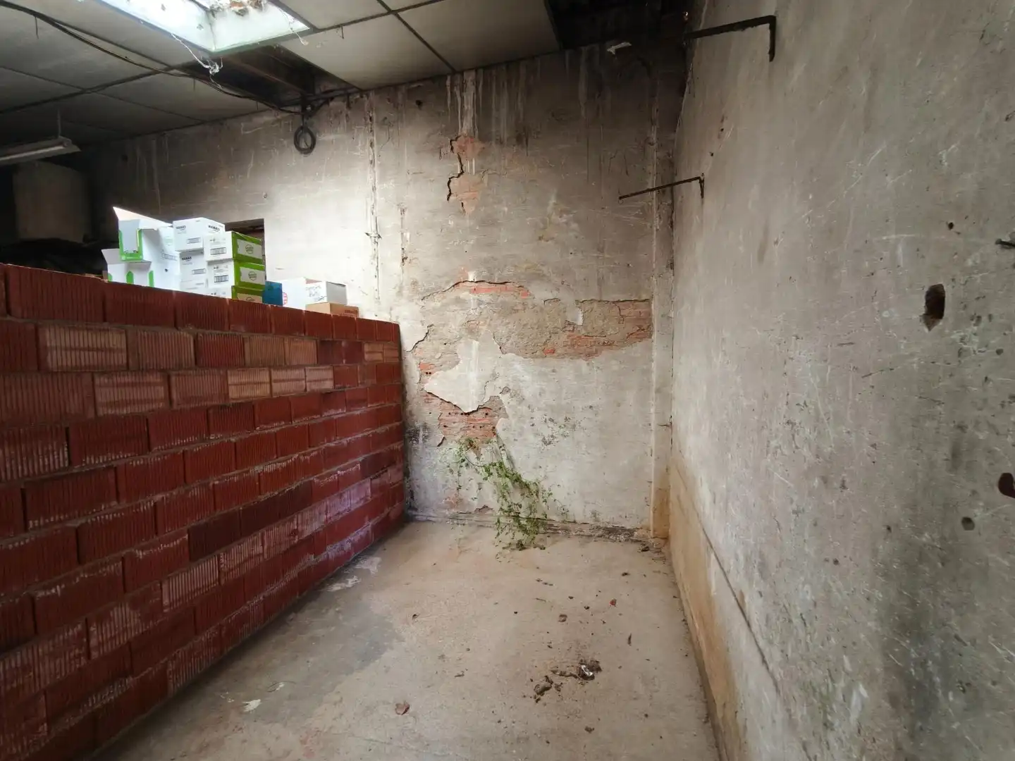 Terrenos y solares en venta en Villarejo de Órbigo, imagen 11