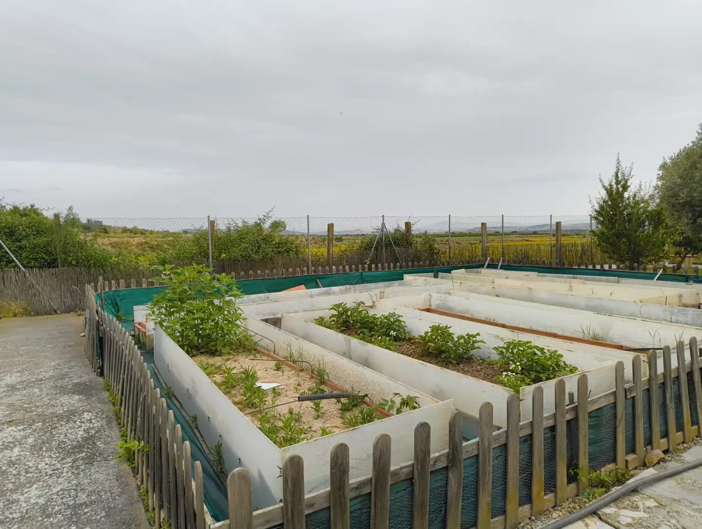 Terreno rustico in vendita a Calahorra, imagen 21