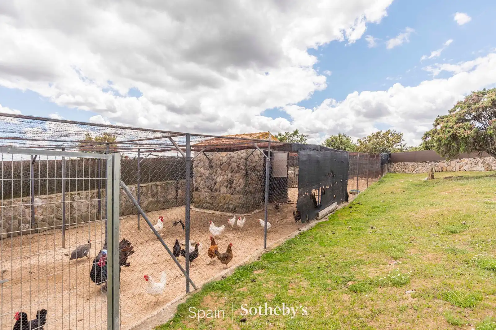 Terreni e lotti in vendita a Polígono Número 7, imagen 17
