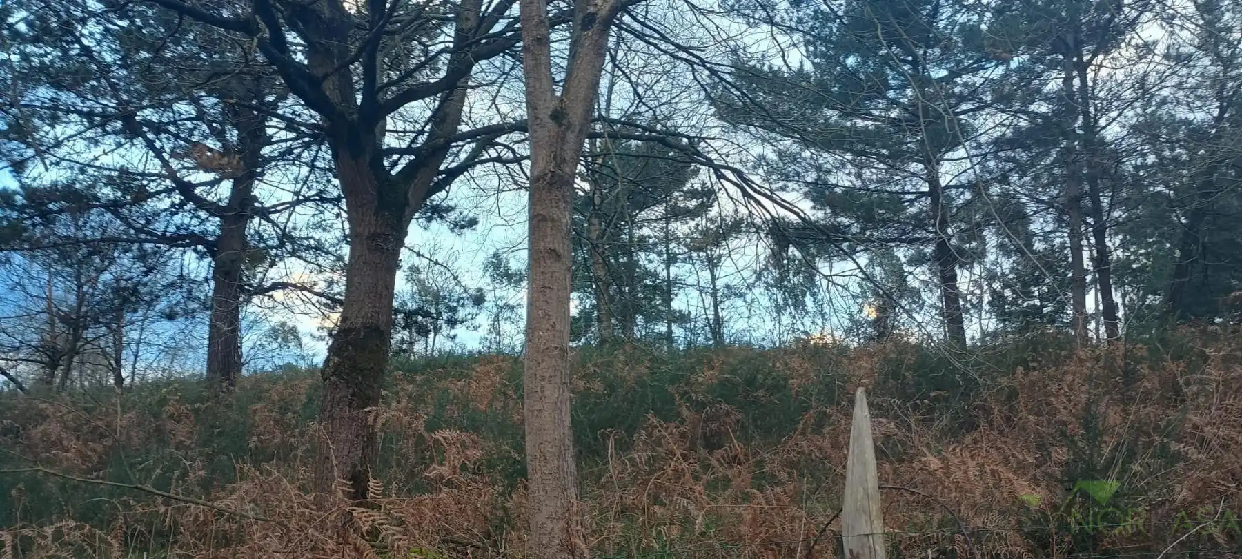 Terrenys i solars en venda a Posada de Llanera, imagen 13