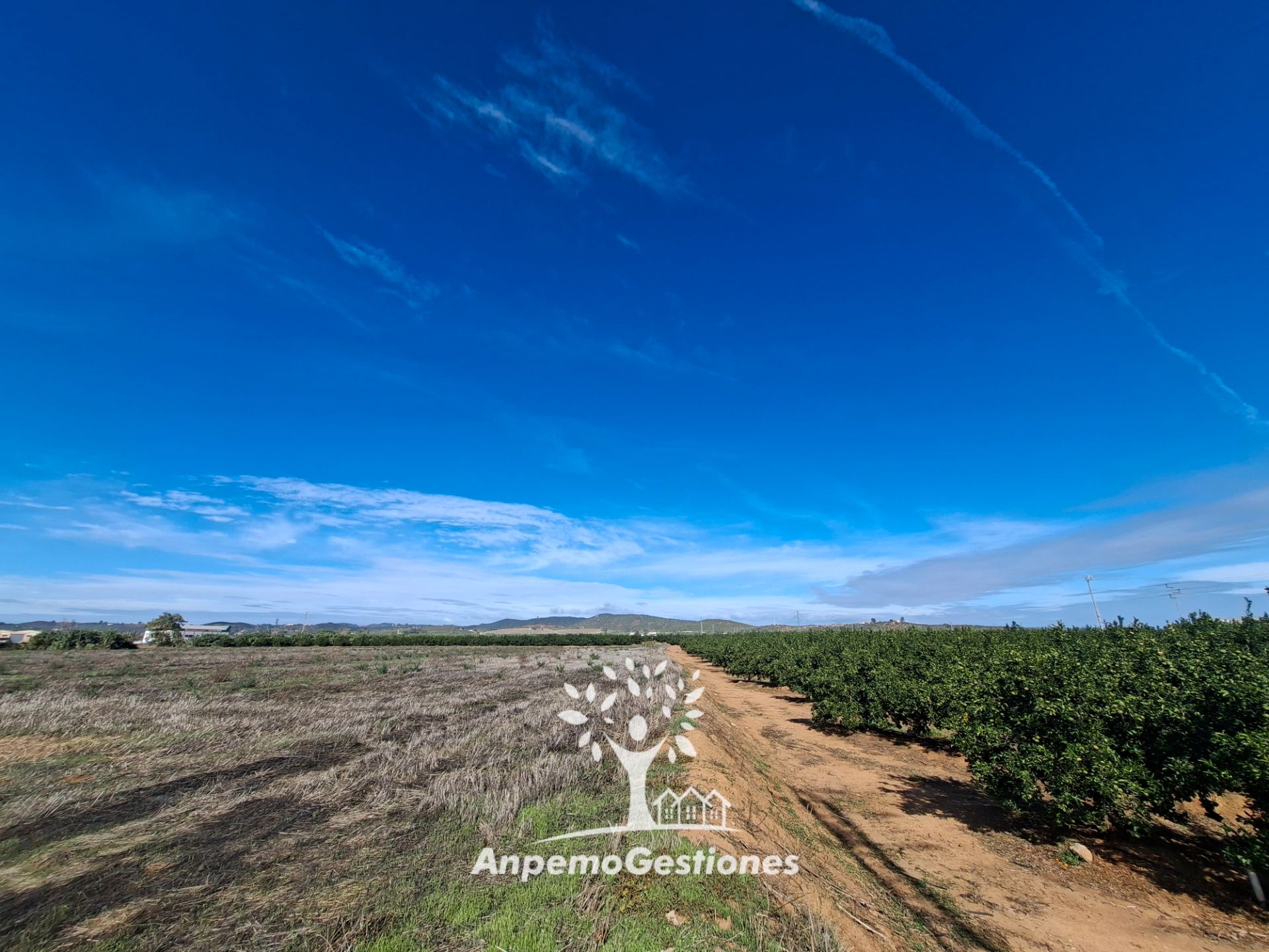 Land for sale in Lora del Río