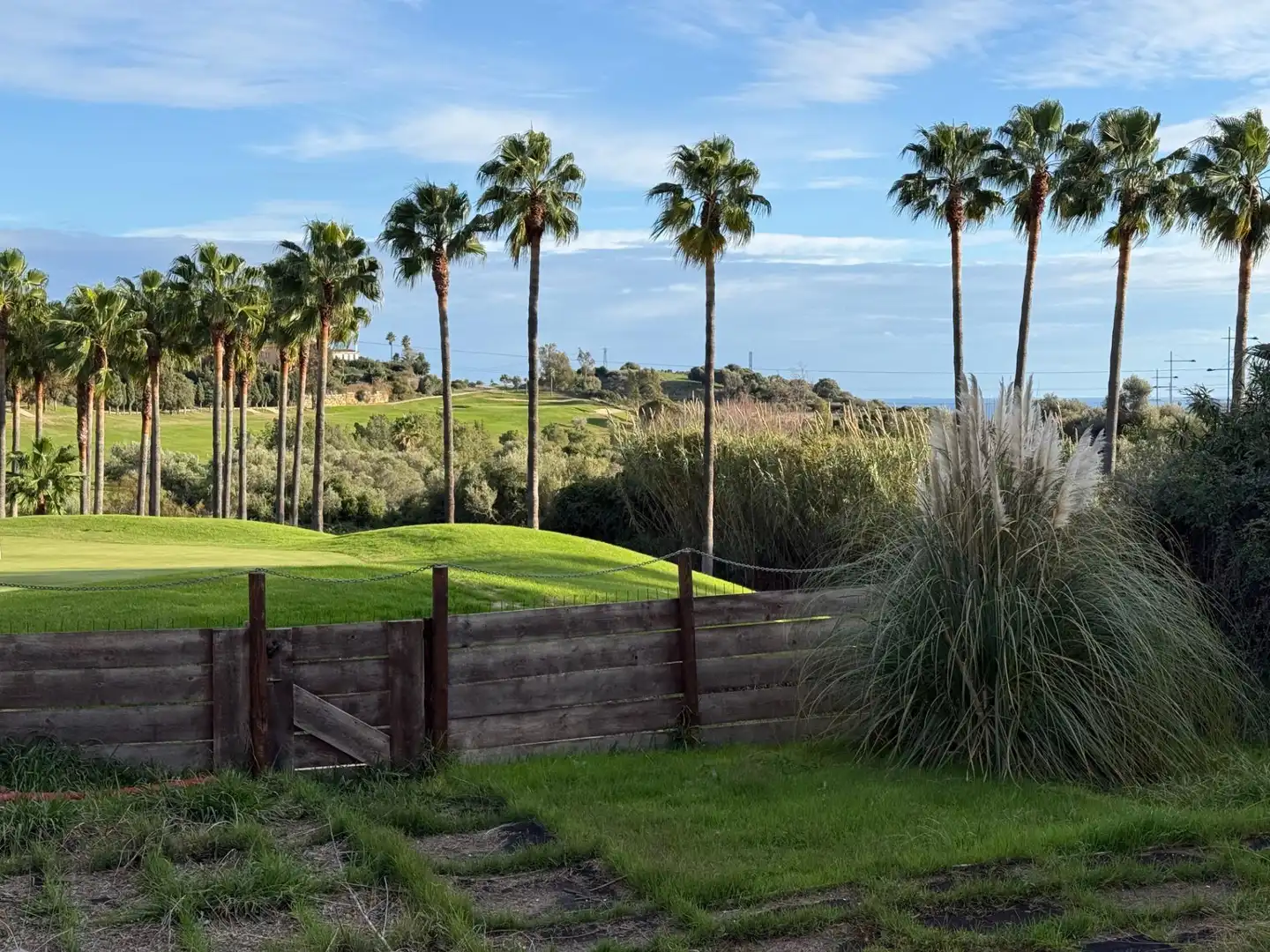 Vista exterior de Casa o xalet en venda en Estepona