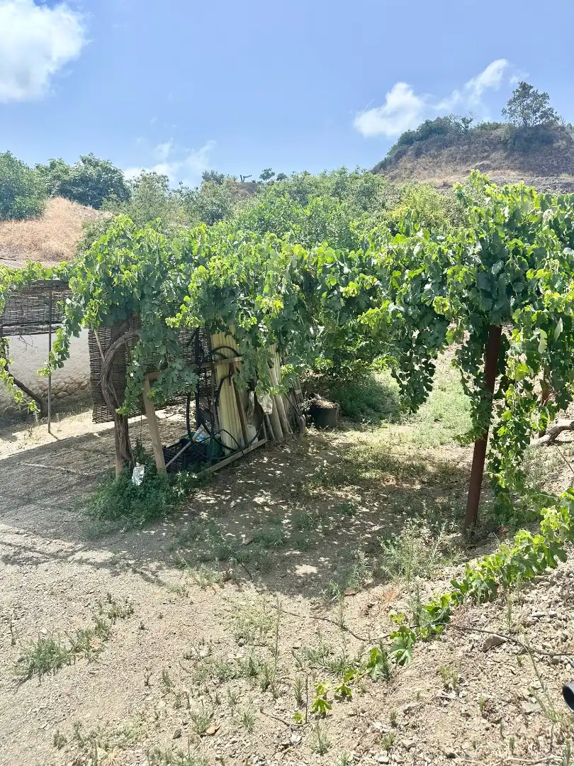 Country homes for sale in Benamocarra  with Private garden, Storage room and Swimming Pool