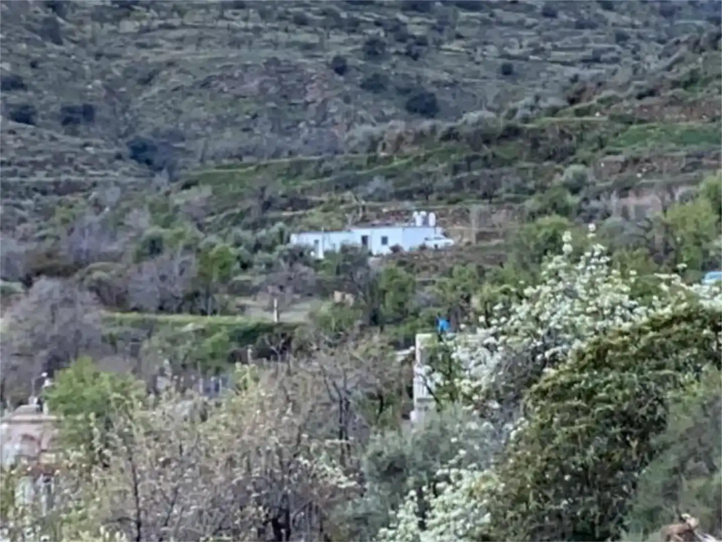 Finca rústica en venda en Abla