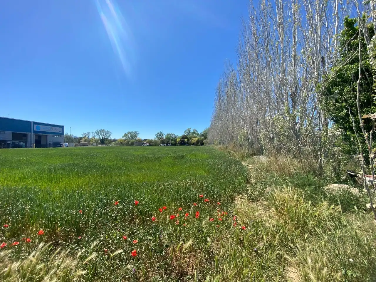 Industrial land for sale in Carrer Acacies, 8, Forallac