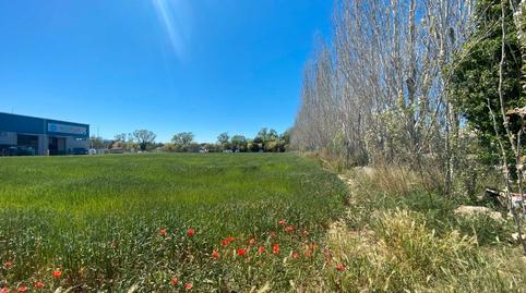 Photo 2 of Industrial land for sale in Carrer Acacies, 8, Forallac, Girona