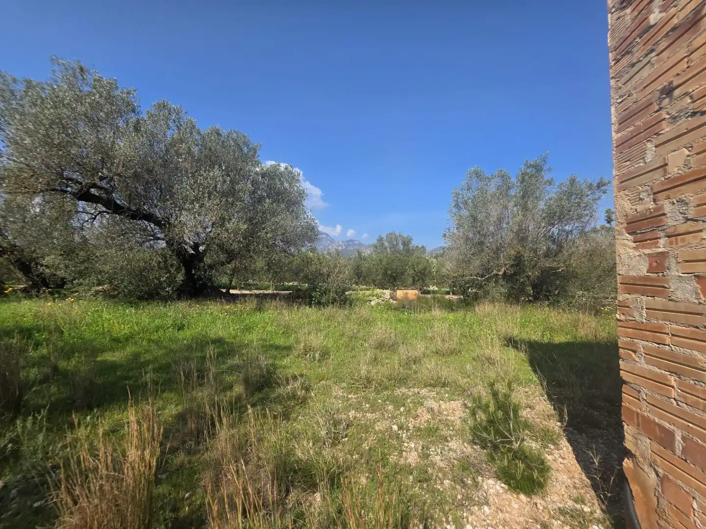 Terreno rustico in vendita a del Polígon Industrial 'La Ravaleta', imagen 41