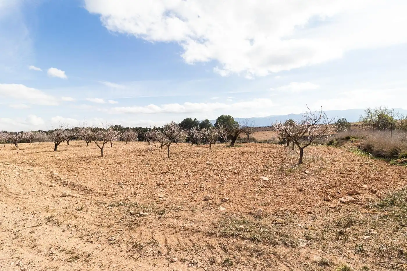 Casa en venda a Mula, imagen 3