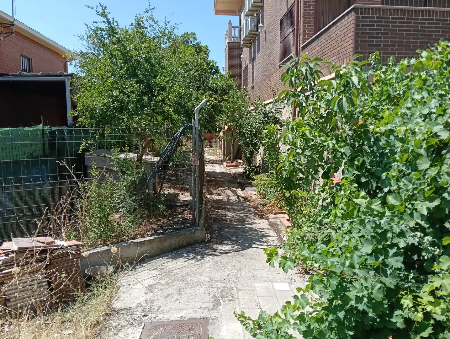 Jardí de Casa o xalet en venda en Casarrubios del Monte amb Aire condicionat, Calefacció i Jardí privat