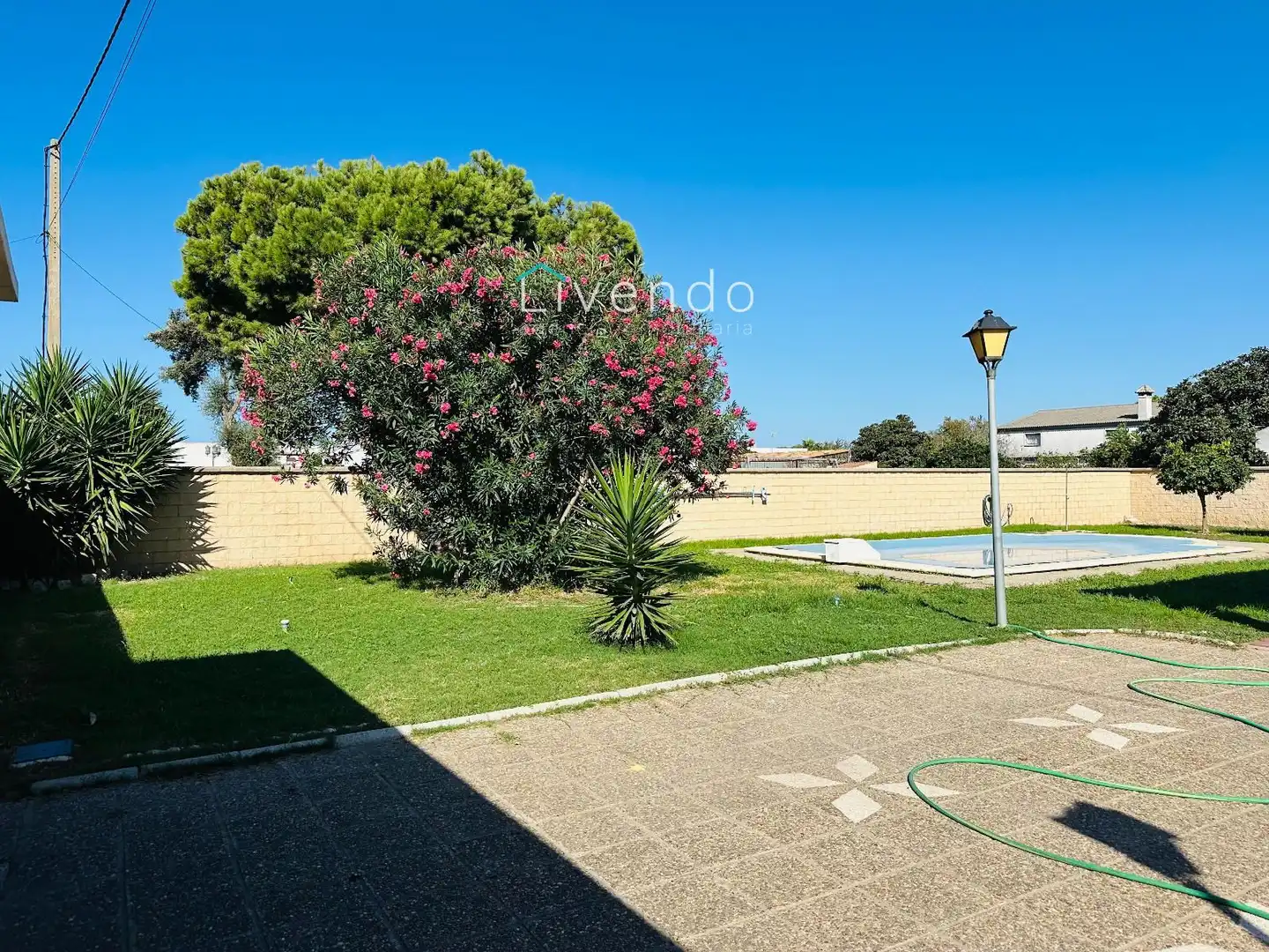 Jardín de Casa o chalet en venta en Chiclana de la Frontera con Piscina y Alarma
