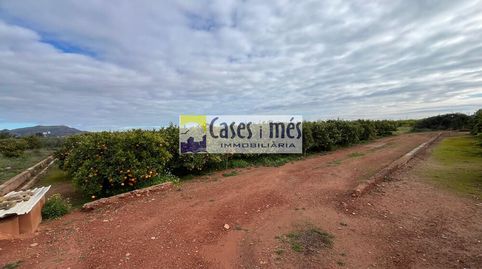 Foto 3 de Terreno en venta en Rafelbuñol / Rafelbunyol, Valencia