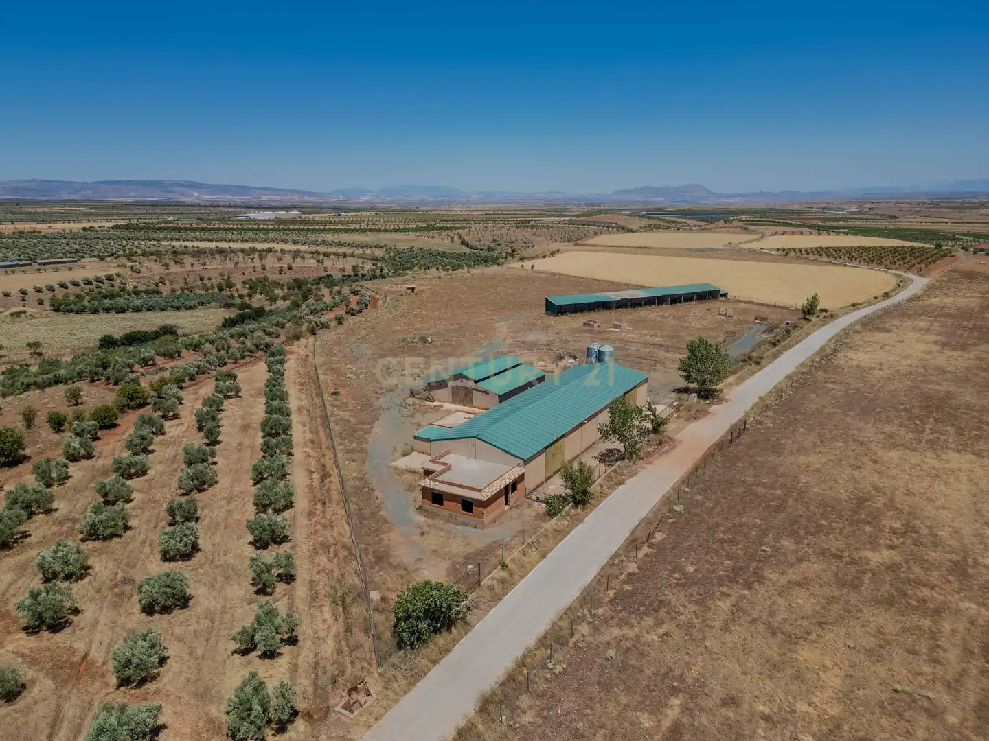 Terreno en venta en Cogollos de Guadix