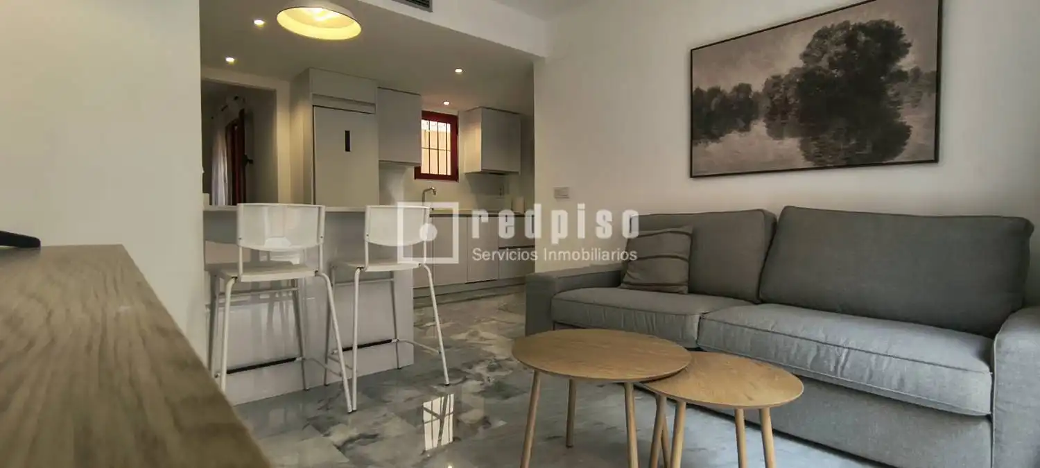 Sala d'estar de Pis de lloguer en Centro